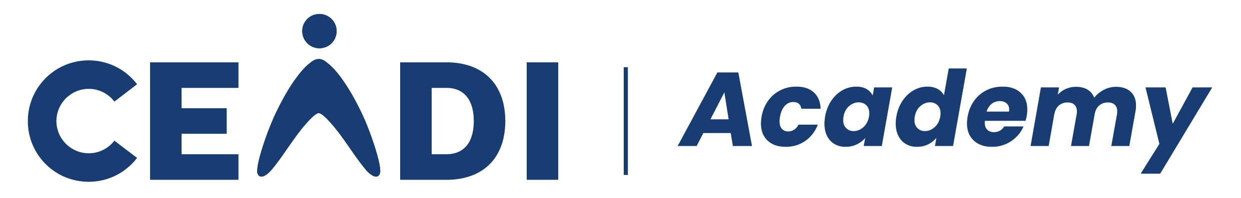 CEADI Academy